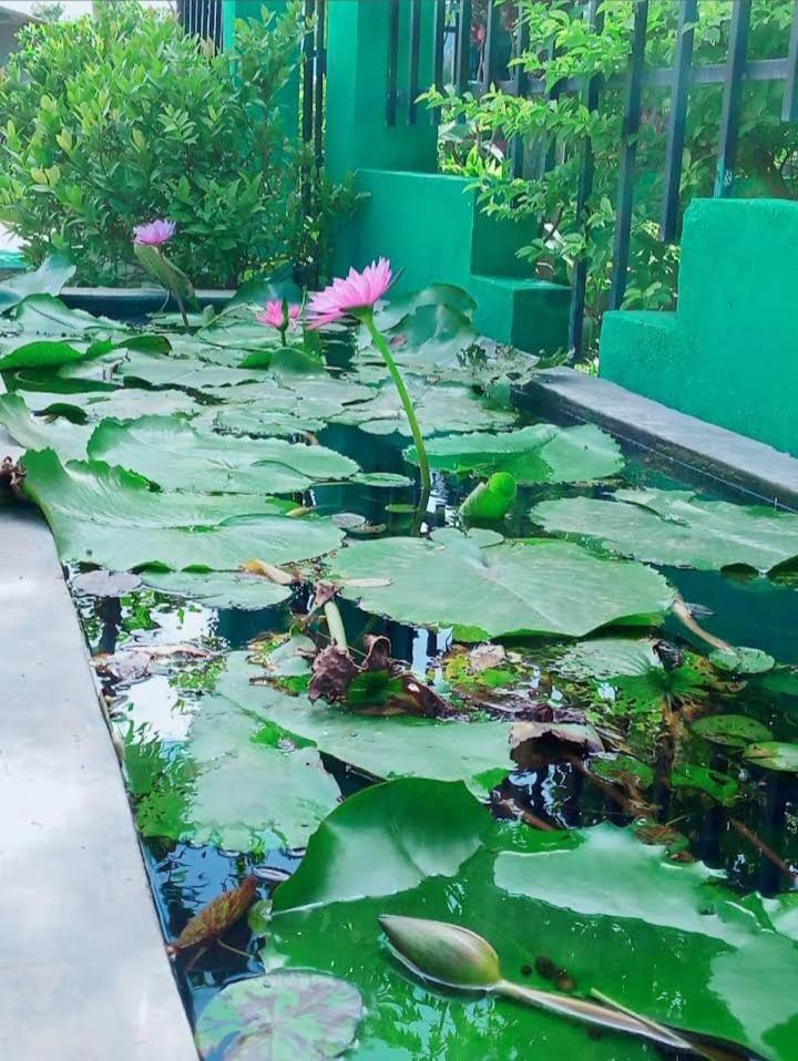 Bundala Swan Cottages Hambantota Exterior photo